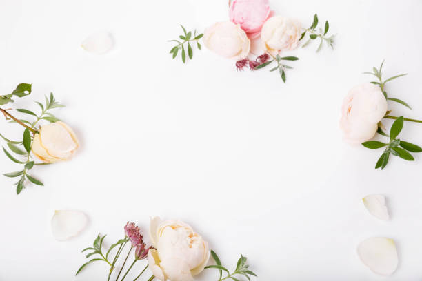 istock Festive flower rose composition on the white background. Overhead top view, flat lay. Copy space. 1798764261