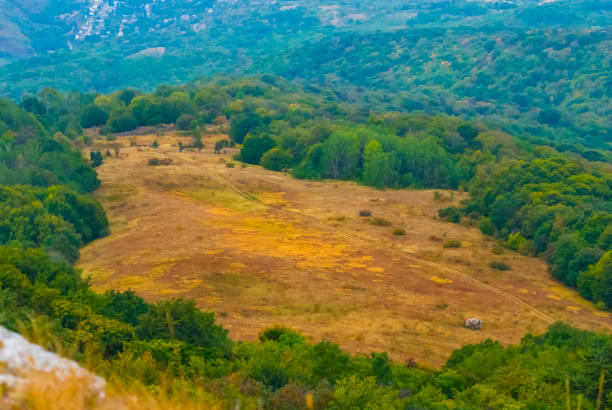 istock view from above to the mountain valley covered by a forest 1798785430