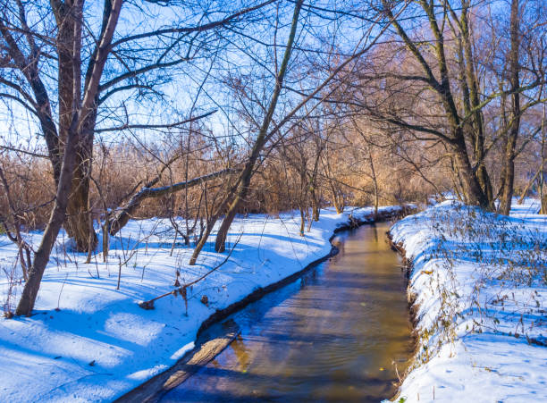 istock small river flow through the snwobound forest at bright sunny winter day 1798786032