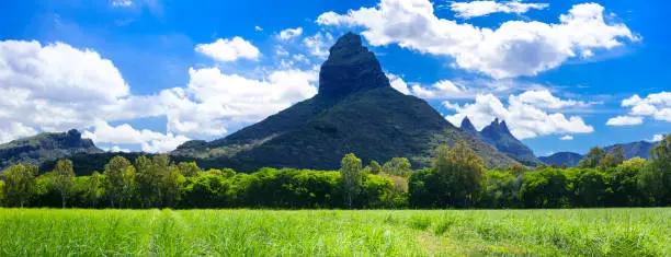 Photo of stunning tropical nature of Mauritius island, Rempart mountain view in Tamarin bay, Black river