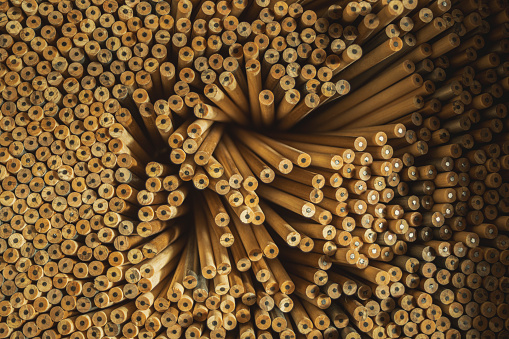 Texture of wooden pencils seen from above, messy and unsharpened in warm light