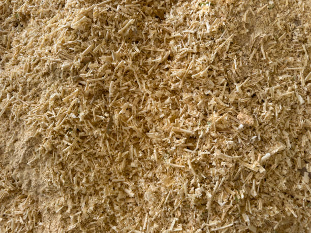 Free picture: chunk, sawdust, wood splitting, dry, ground, compost ...