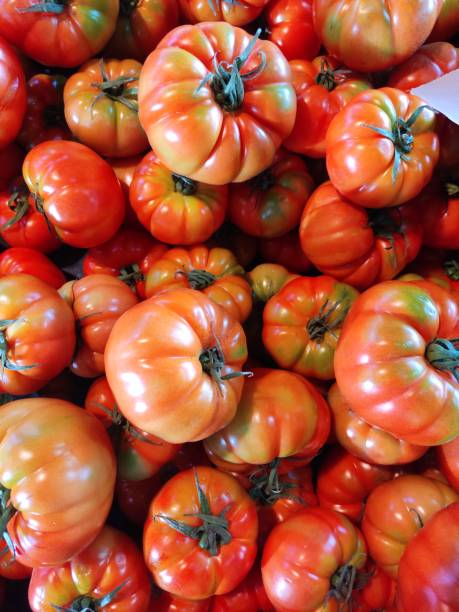 Pile of Red Organic Tomatoes Background stock photo