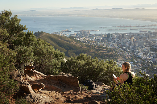 Rear view of a woman hiker sitting on the mountain peak and looking at a Rock Hyrax alongside