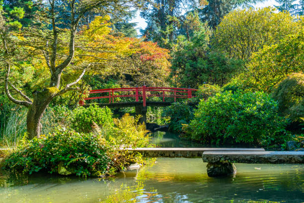 istock Kubota Gardens Bridge 2 1798910432