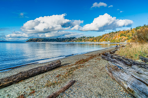A view of the shoreline in late fall at Seahurst Beach Park in Burien, Washington.