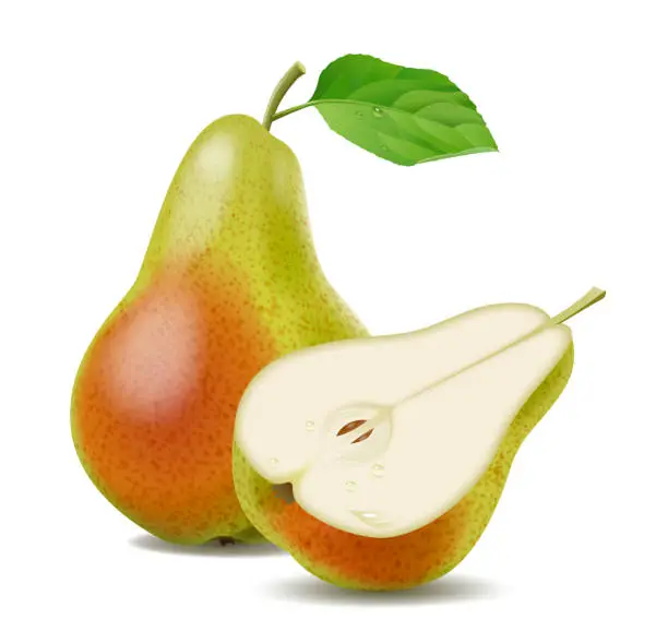 Vector illustration of One and a half pear