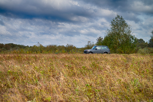 One Shiny Car Against Colorful Autumn Trees And Blue Sky Along With Dry Grass and Trees of Polesye Natural Resort in Belarus. Horizontal Shot