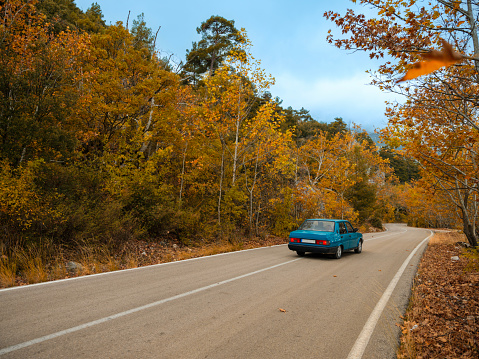 Autumnal road in Isparta, Turkey. Car drining on road. Taken via medium format camera.