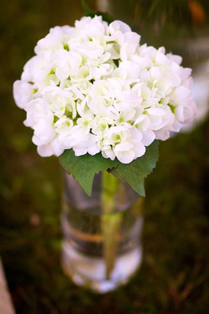 istock Bright wedding bouquet for the ceremony from fresh flowers 1798954064