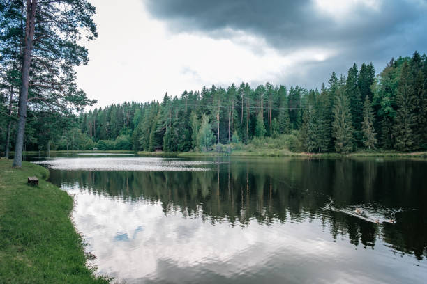 istock Beautiful forest lake in Russia. 1798966482