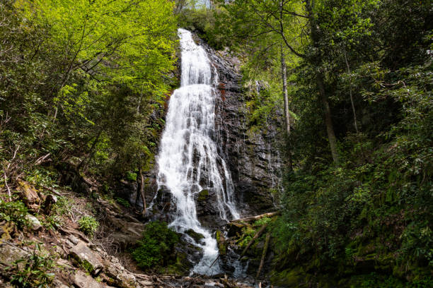 istock Mingo falls cascading over the rocks 1798971280