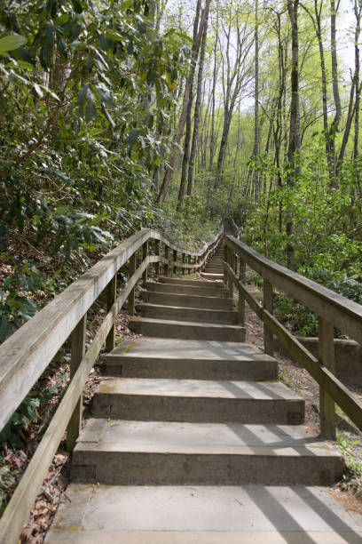istock Long staircase to Mingo Falls 1798972864