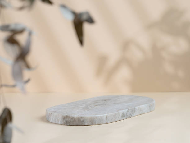 istock Abstract empty marble board with shadows and leaves on a beige background. Layout concept for promotional product presentation, sale or cosmetics display. 1798983711