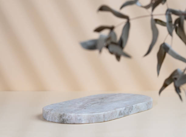 istock Abstract empty marble board with shadows and leaves on a beige background. Layout concept for promotional product presentation, sale or cosmetics display. 1798983721