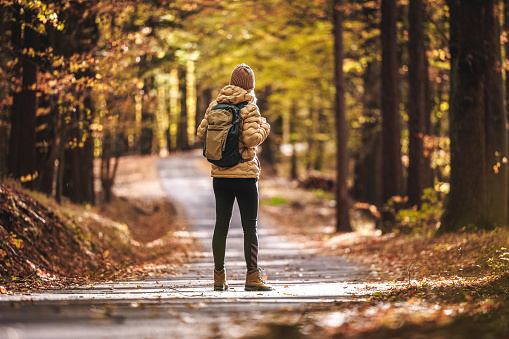 Woman with backpack hiking in autumn woodland. Female tourist walks on trekking trail in forest