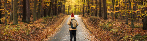 Woman hiking in autumn forest