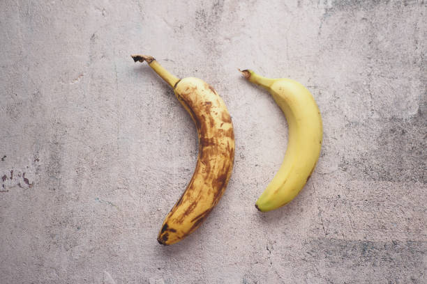 istock comparing rotten banana with a ripe banana on a white background 1799002595