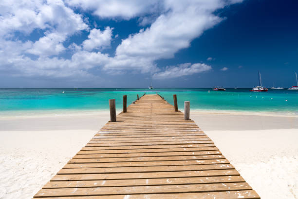 Dock on beautiful shoreline, Palm Beach, Aruba