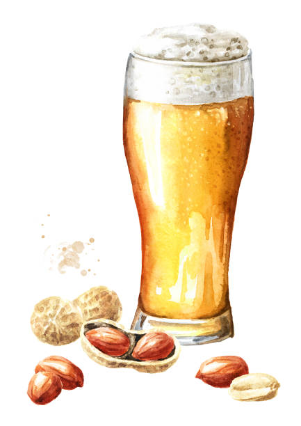 glas bier serviert mit erdnüssen, handgezeichnete aquarellillustration isoliert auf weißem hintergrund - beer nuts food isolated white stock-grafiken, -clipart, -cartoons und -symbole