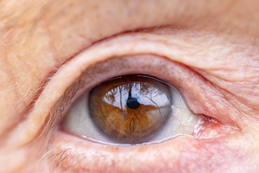 Closeup brown eye of caucasian 74 year old woman, front view, full frame horizontal composition