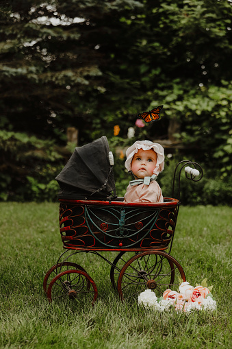 A beautiful baby girl, seven months old, sits in a vintage pram, looking at a monarch butterfly.