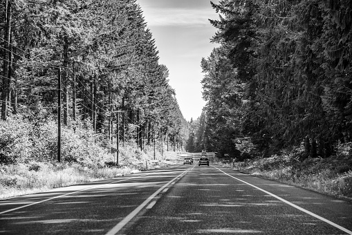 Road to Mount Rainier National Park