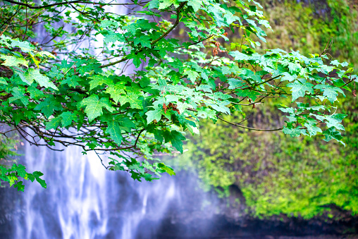 Beautiful landscape with Marmore falls (Cascata delle Marmore) and the rainbow, Umbria, Italy