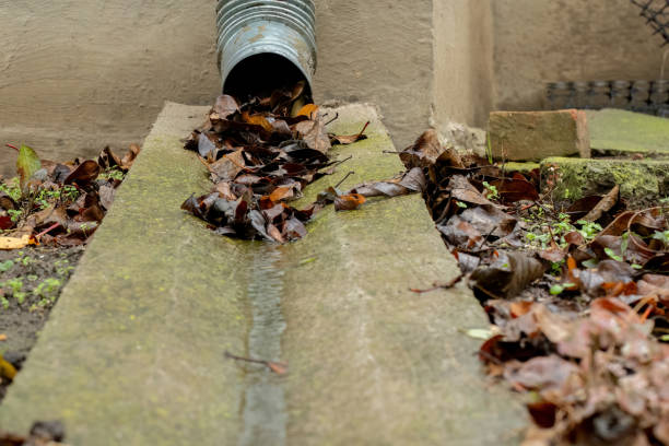 istock Drain spout during rain with autumn rusty leaves. 1799150331