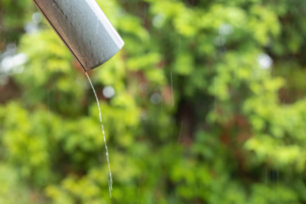 istock Drain spout during rain at autumn. 1799150710