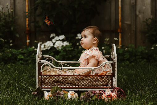 A beautiful baby girl, seven months old, sitting in a little bed in a garden, looking at a monarch butterfly.