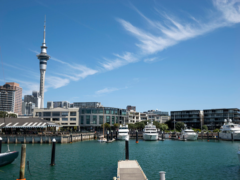 Viaduct Harbour Marina in Auckland, New Zealand