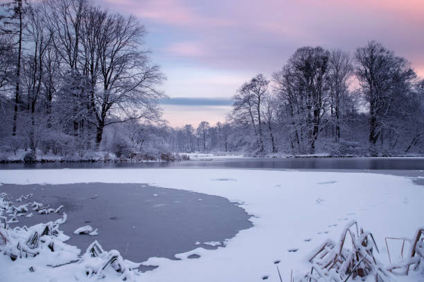 istock Winter morning in the park 1799159397