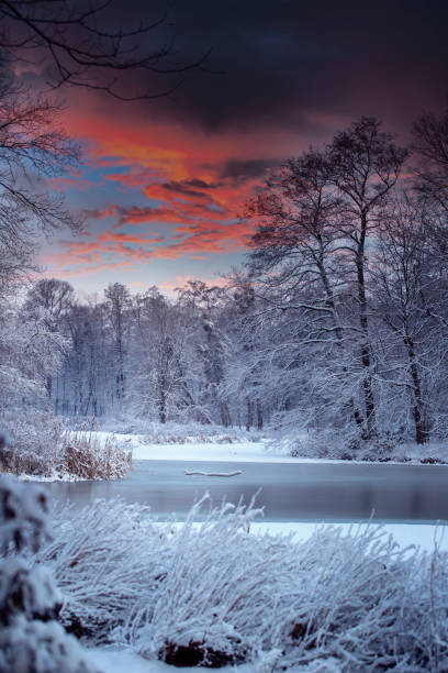 istock Winter morning in the park 1799159914