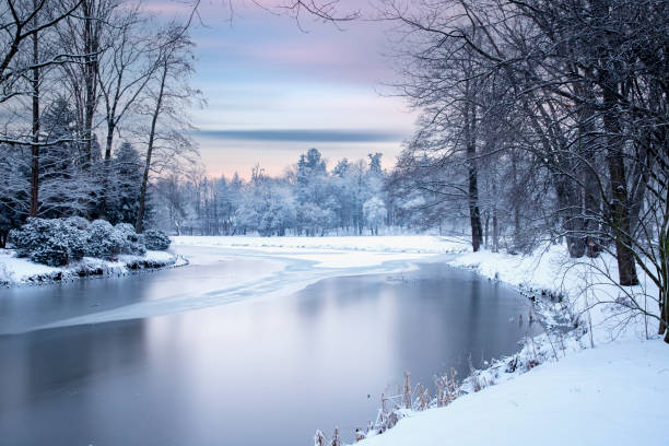 istock Winter morning in the park 1799159932