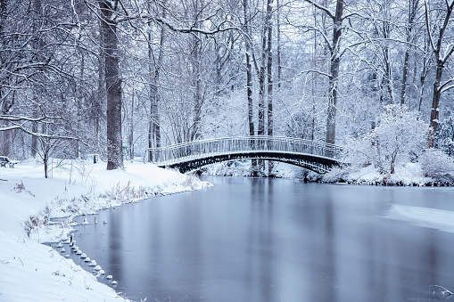 Winter morning in the park with ponds, alleys, bridges and trees