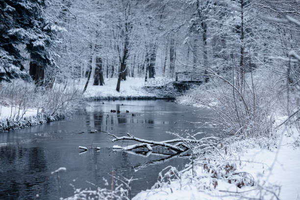 istock Winter morning in the park 1799160448