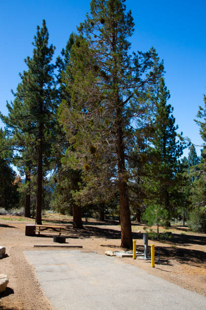 istock Drive in campsite in forest area 1799183379