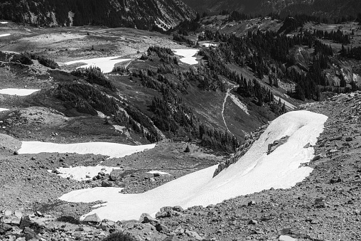 Amazing landscape of Mount Rainier National Park in summer season, Washington - USA