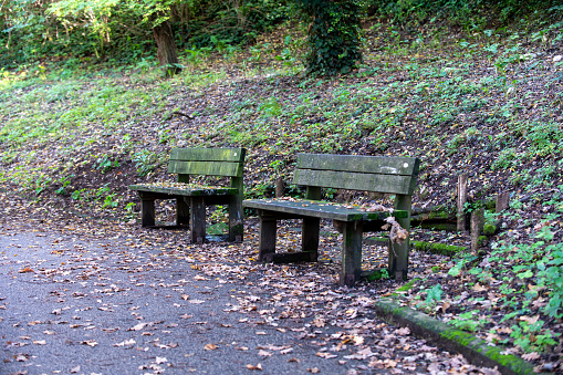 Panchine in autunno