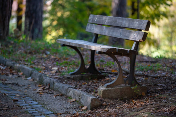 istock Panchina solitaria 1799218828