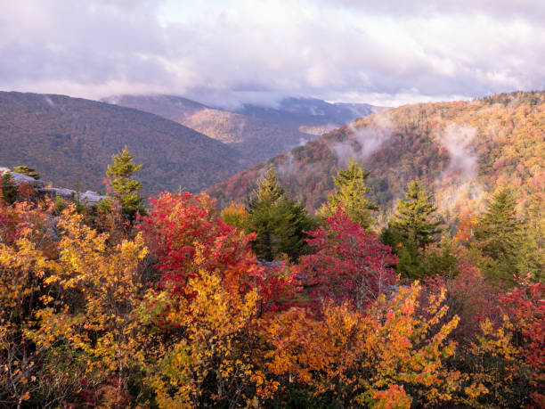 istock West Virginia Color 1799243306