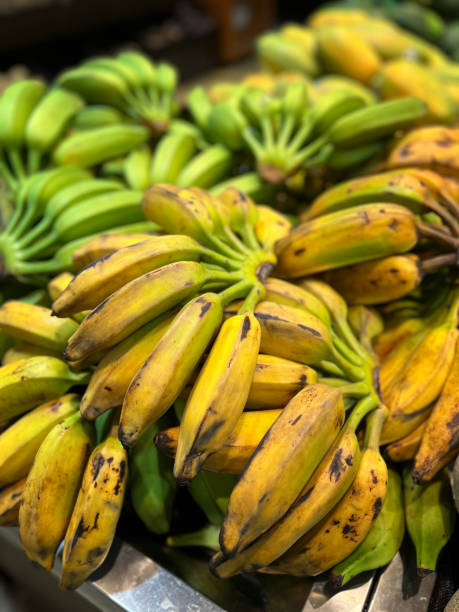 istock yellow and green bananas 1799244847