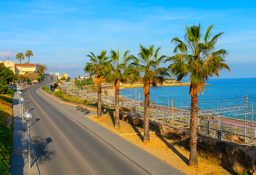Palm trees and road along sea coast in Tarragona, Spain