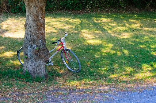 bicycle parked in the park, active sport lifestyle