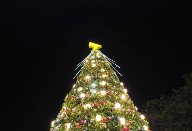 istock Christmas tree with festive season. 1799307017