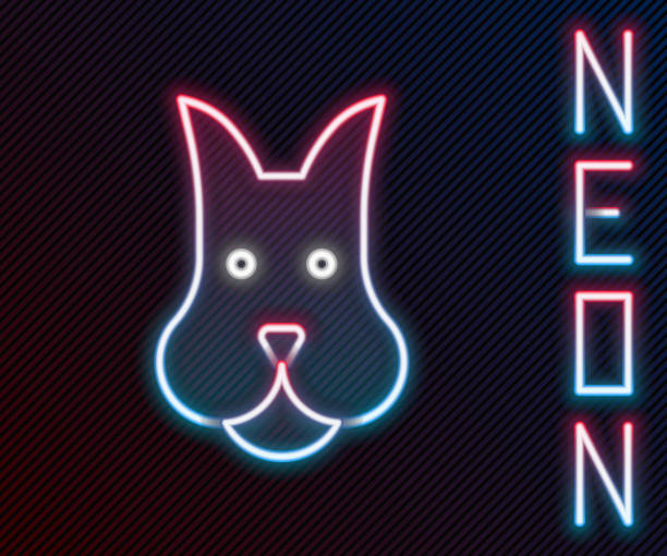 istock Glowing neon line Dog icon isolated on black background. Colorful outline concept. Vector 1799315526
