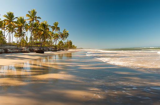 Tropical landscape with beach with coconut trees at sunset.