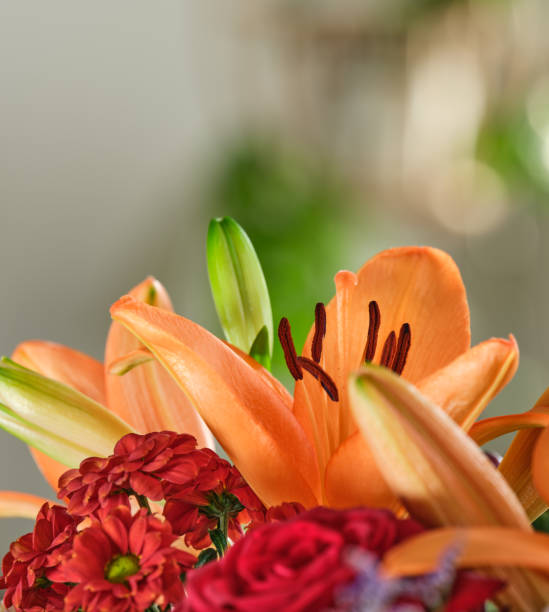 istock Colourful bouquet of  flowers 1799383115