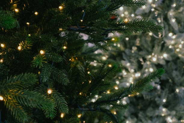 istock christmas tree with festive lights on defocused holiday background 1799404421